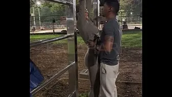 Look at the guy fucking me in your car, you cuckold - Personal trainer with a big dick fucks the naughtiest married woman in Brazil in front of her cuckold husband after a naughty workout in the park.